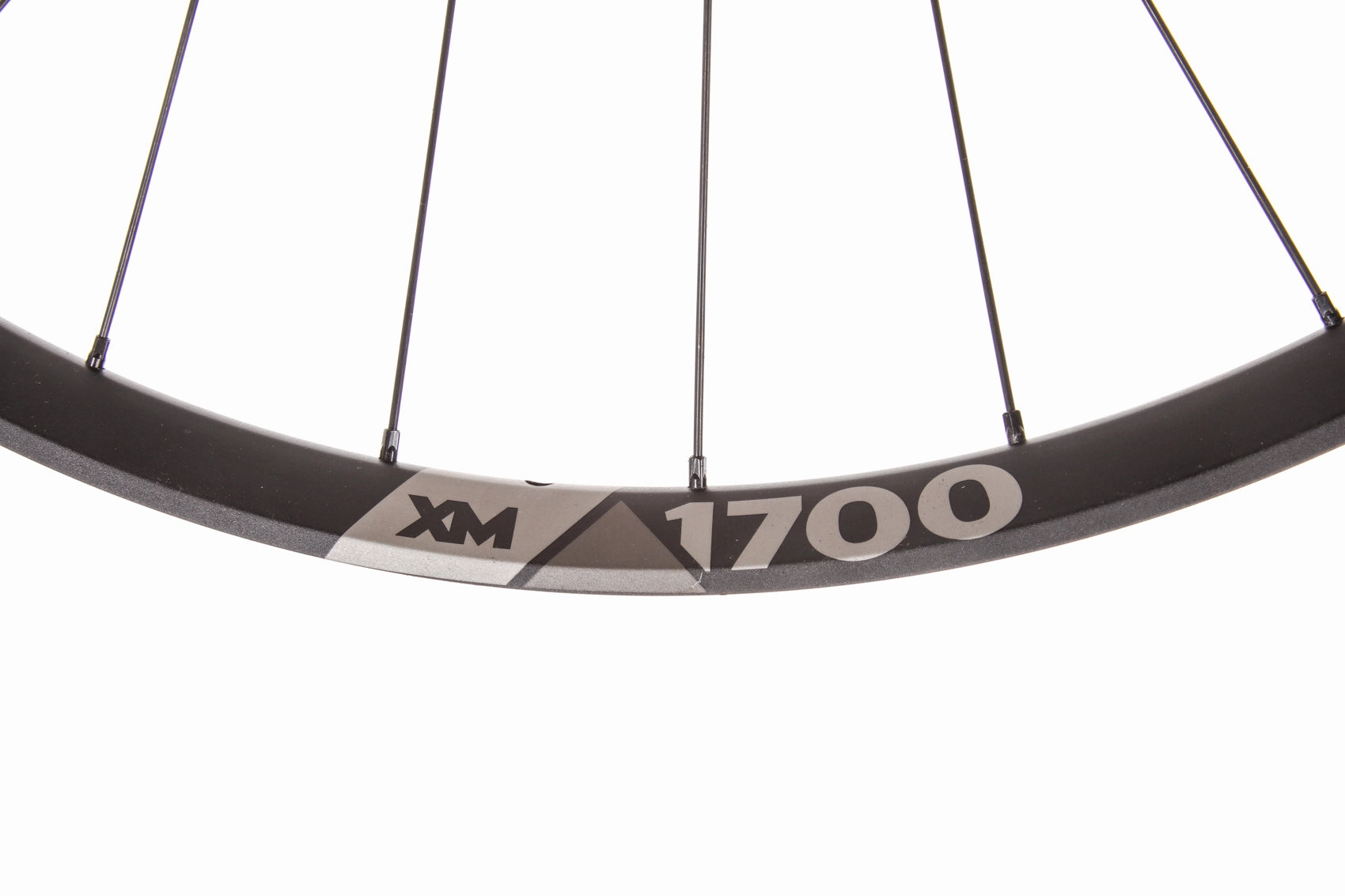 DT Swiss XM1700 Aluminum Tubeless 29" Superboost Wheelset