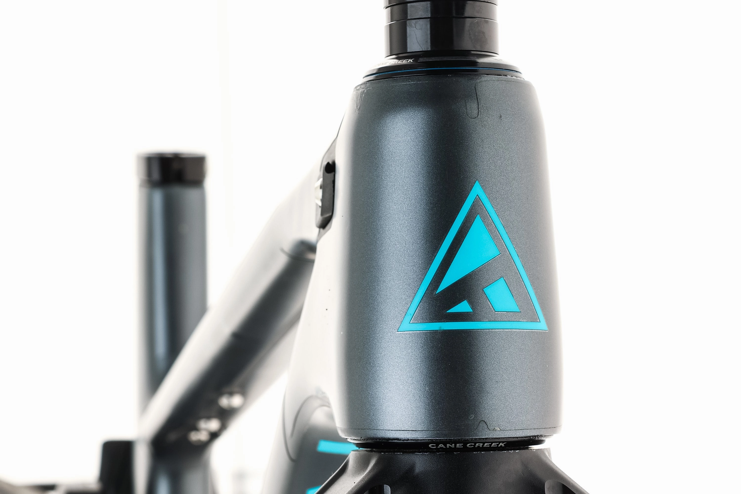 Forbidden Druid Medium Frameset - 2021