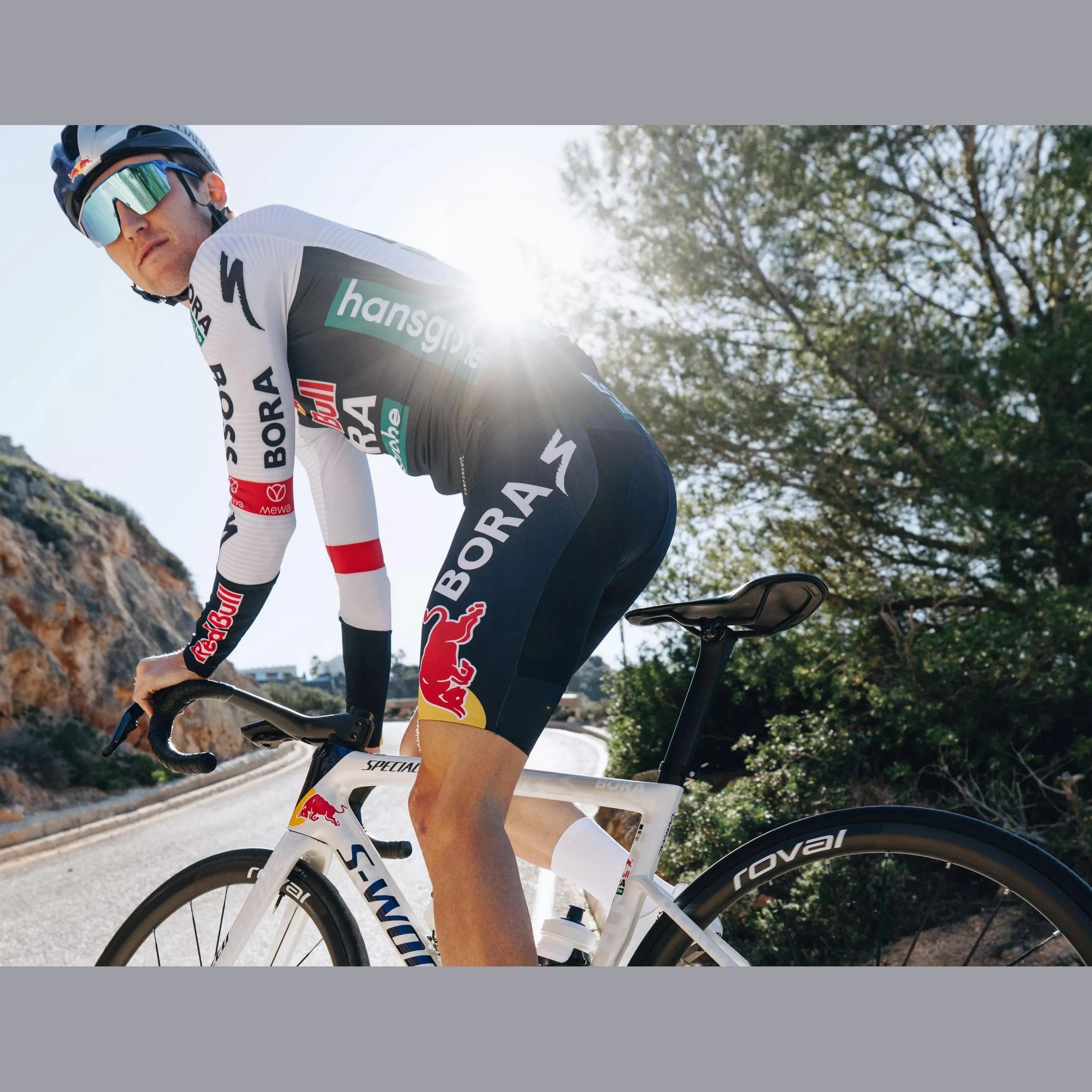 Frame Specialized S-Works Tarmac SL8 - Red Bull - Bora Hansgrohe 