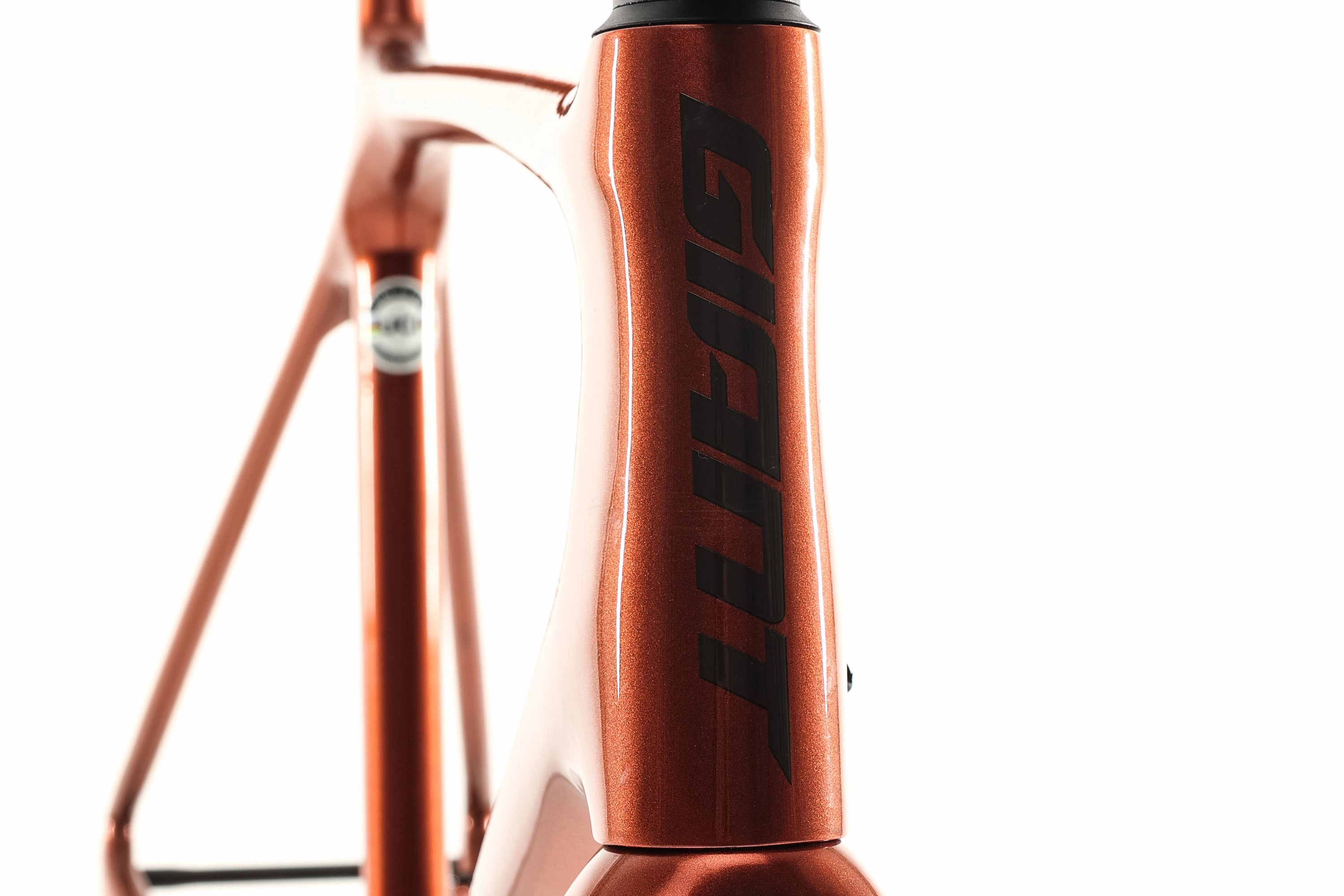Giant TCR Advanced SL Medium/Large Frameset - 2022