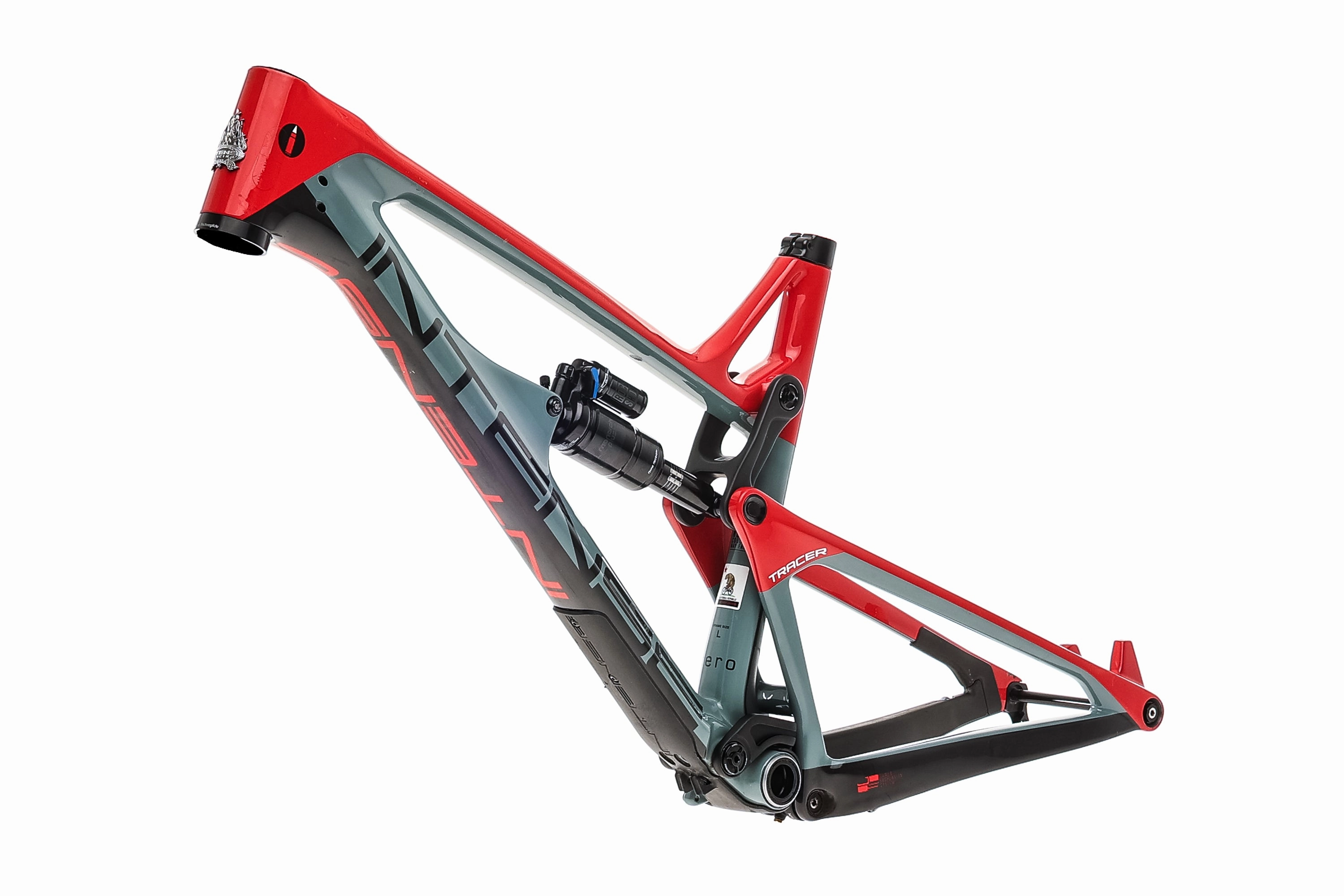 Intense Tracer Large Frame - 2019