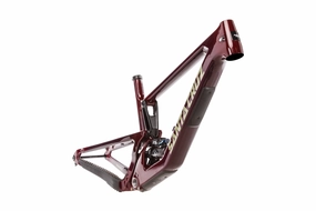 Santa Cruz Hightower Large Frame - 2023